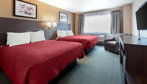 Queen Suite with Two Queen Beds and Sofa Bed - Non-Smoking