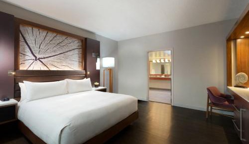 Presidential King Suite