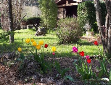 Two-Bedroom Chalet