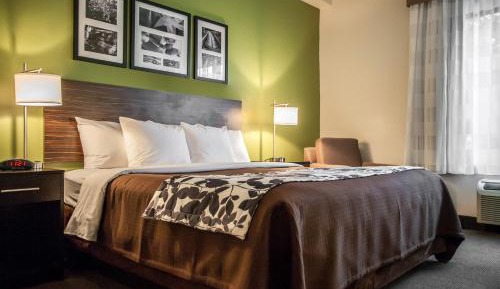 King Suite with Sofa Bed - Non-Smoking