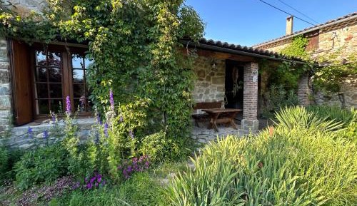 Studio with Garden View