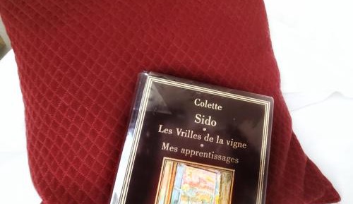 Small Double Room with Garden View - Colette