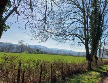 Two-Bedroom Holiday Home