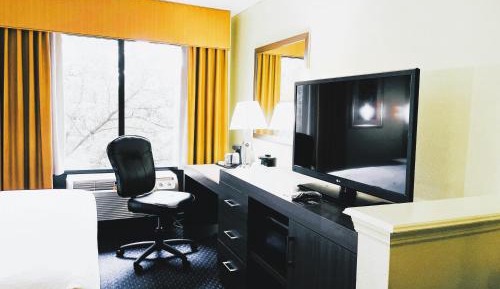 Studio Suite with King Bed and Sofa Bed