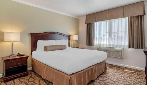 Large King Room with Living Area - Non-Smoking