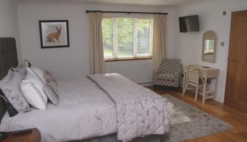 Superior Double or Twin Room with Garden View