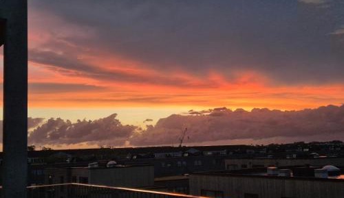 Single Room with Terrace