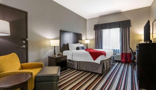 King Room with Roll-In Shower - Mobility Access