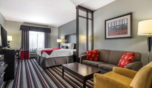 King Suite with Roll-in Shower - Mobility Access