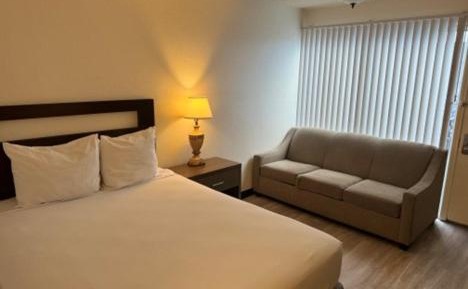 Studio with Sofa Bed