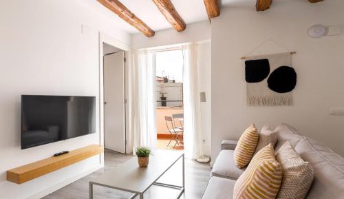 Penthouse Apartment