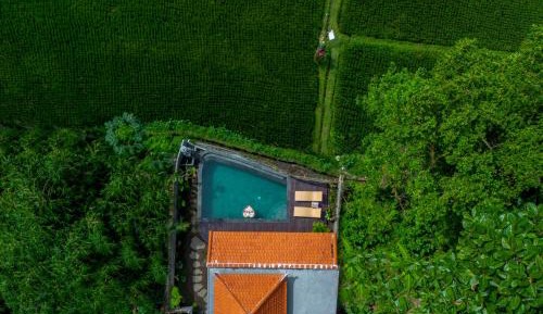 Double Room with Pool View
