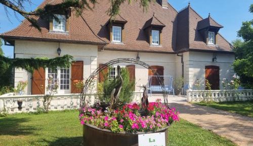 Studio with Garden View