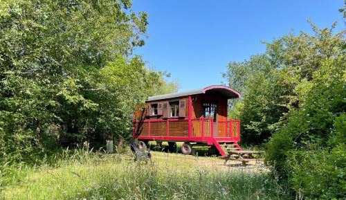 Family Room with Garden View