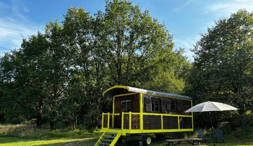 Family Room with Garden View