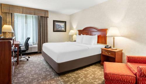 Standard King Room - Non-Smoking 