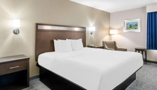 King Room with Walk-In Shower - Mobility Access