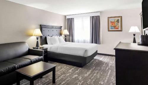 King Room with Sofa Bed - Pet Friendly