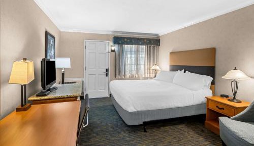 King Room - Non-Smoking