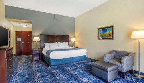 King Room with Roll-In Shower - Mobility Access