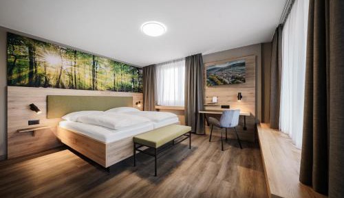 Double or Twin Room Superior