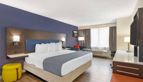 Executive King Room