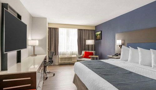 King Room with Roll-in Shower - Disability Access/Non-Smoking