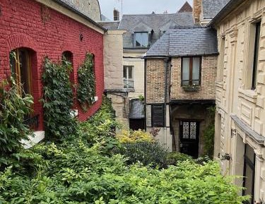 Studio with Garden View
