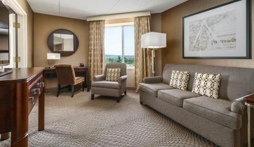 Club level Executive Suite with 1 King bed and Sofa bed