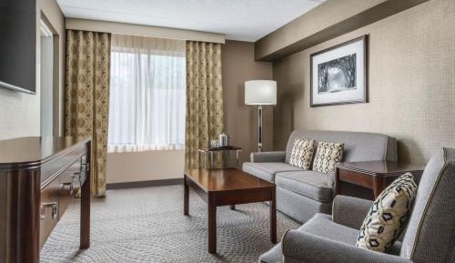 Junior Suite with 1 King bed and Sofa bed