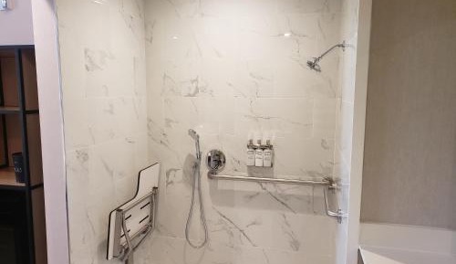 King Room with Roll-In Shower - Disability Access