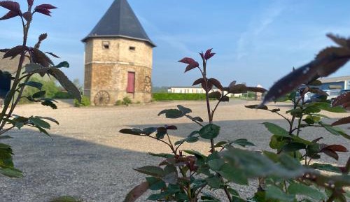 Family Room with Private Bathroom