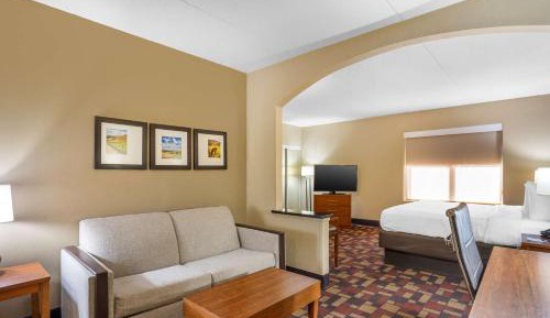 King Suite with Sofa Bed and Whirlpool - Nonsmoking