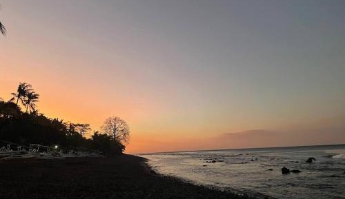 One-Bedroom Bungalow