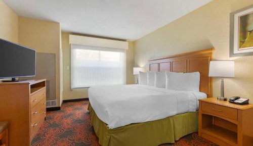 King Suite with Sofa Bed - Non-Smoking