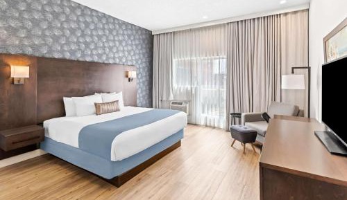 King Room with Roll-In Shower - Disability Access