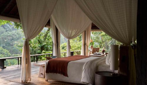 Rainforest Pool Bale