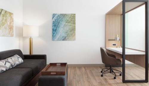 Studio with King Bed and Trundle Sofa