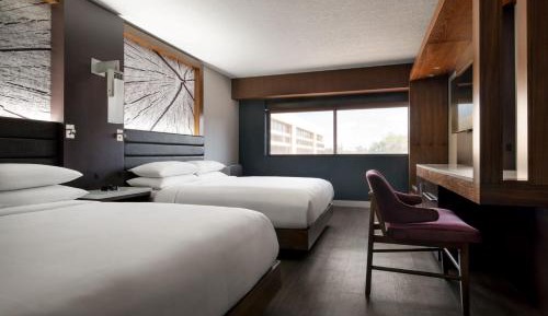 2 Queen Beds, Guest room, 2 Double