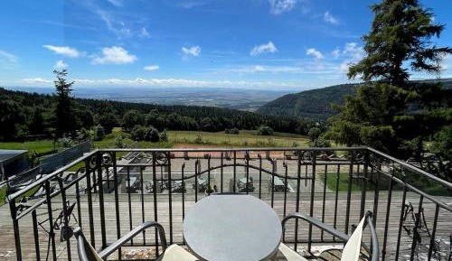 Double Room with Mountain View