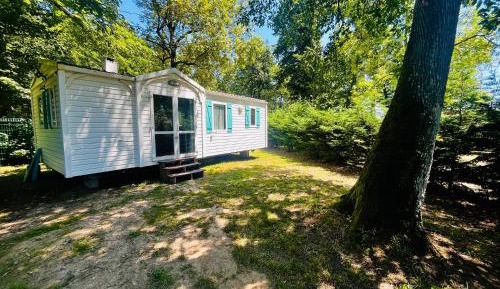Mobile Home