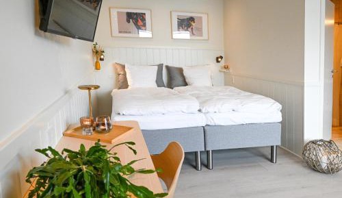 Double Room with Terrace