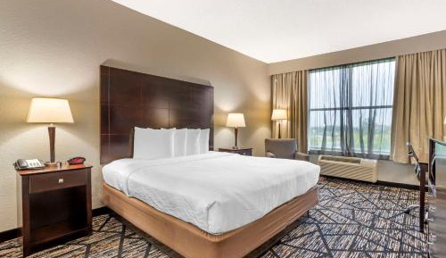 King Room