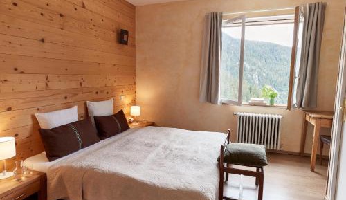 Double Room with Mountain View