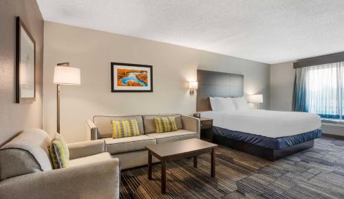 Executive King Room with Sofa Bed - Non-Smoking