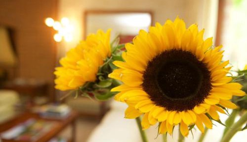 Double Room with Private External Bathroom