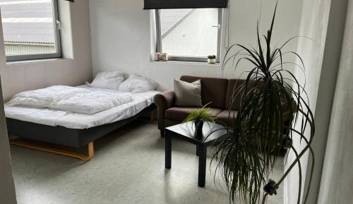 Double Room with Shared Bathroom