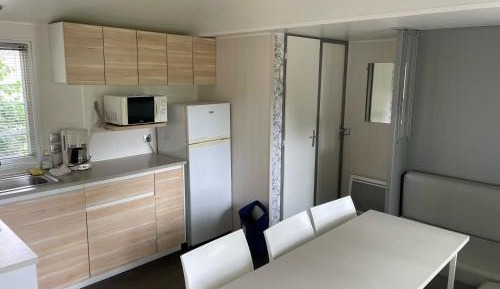 Mobile Home
