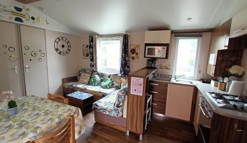 Mobile Home