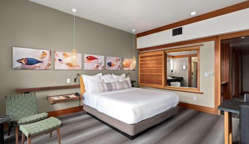 King Room